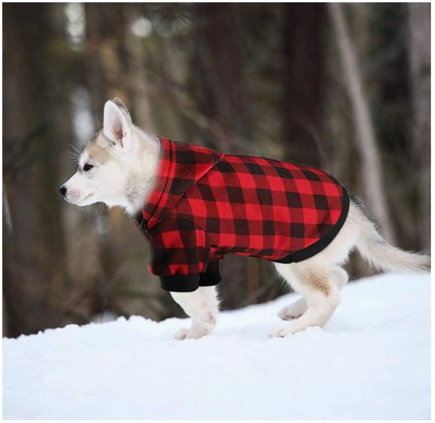 Dog Hoodie Sweatshirt Sweater for Extra Small Dogs Cat Puppy Clothes Coat Warm and Soft